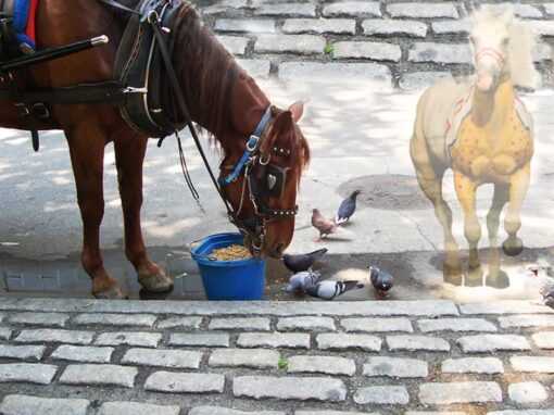 Horses
